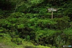 貝喰の池