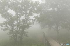 県立榛名公園 ゆうすげの道 入口