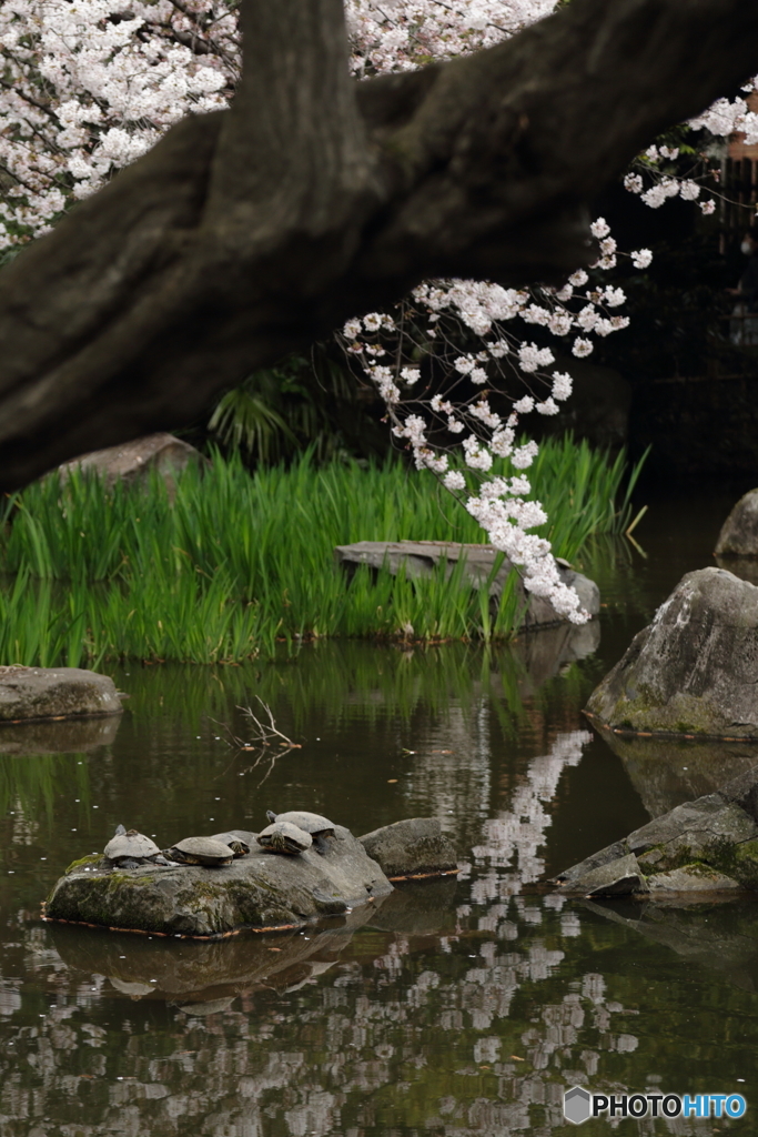 名主の滝公園