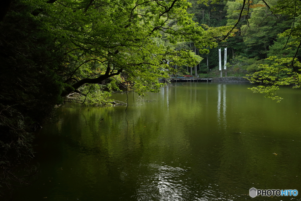 貝喰の池