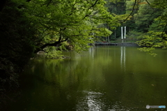 貝喰の池