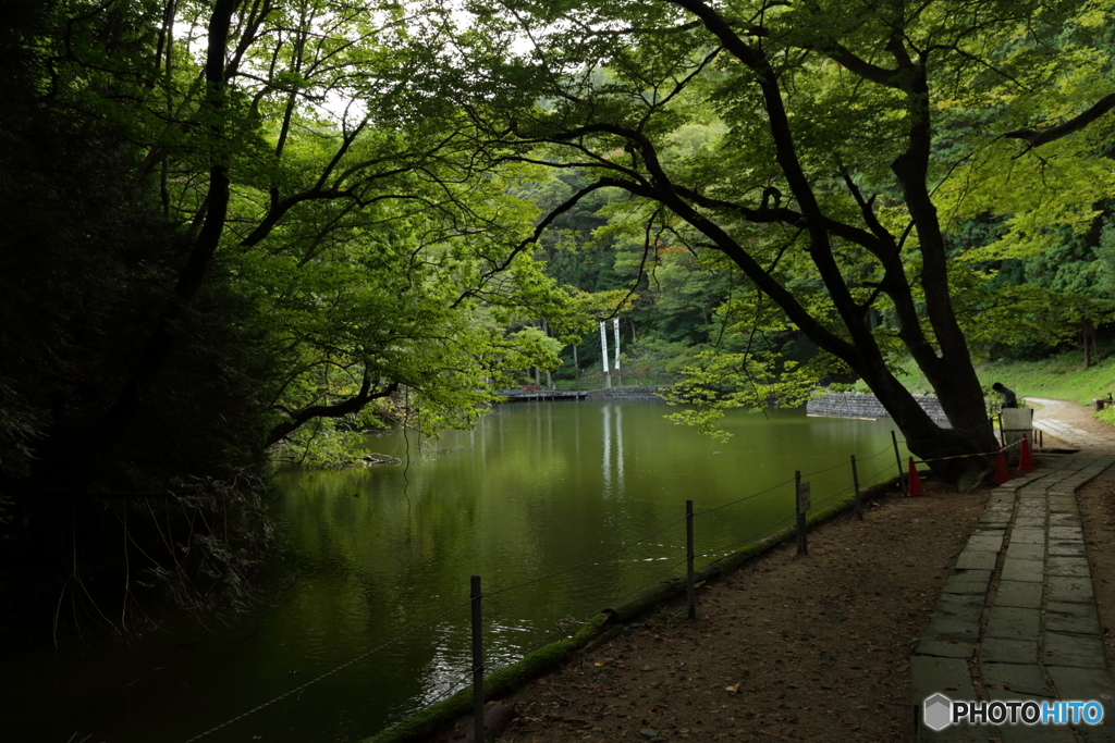 貝喰の池