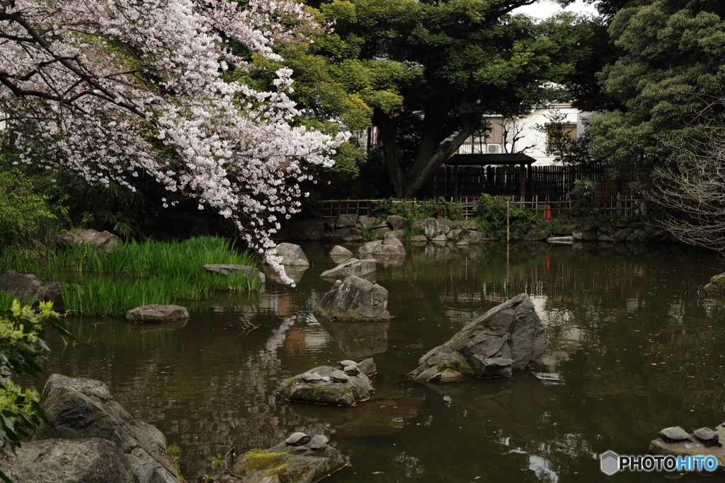名主の滝公園