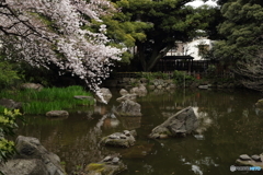 名主の滝公園