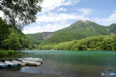 上高地 大正池