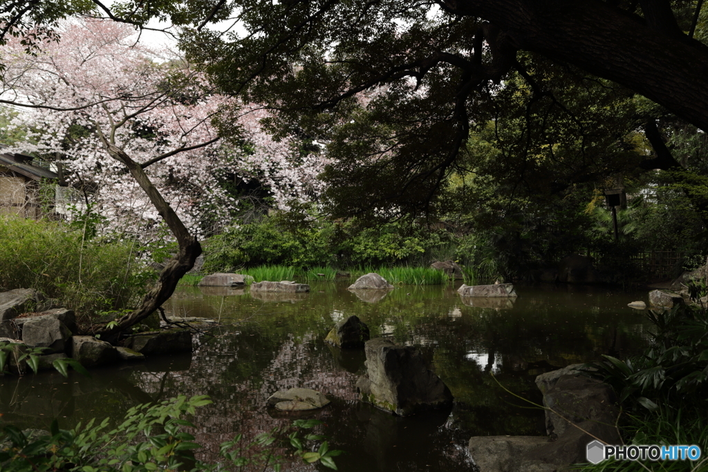 名主の滝公園