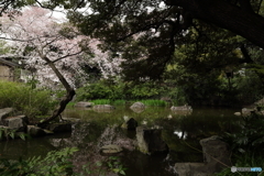 名主の滝公園