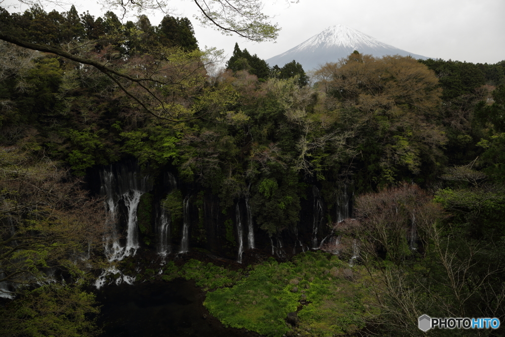 白糸の滝 富士山