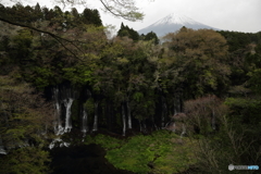 白糸の滝 富士山