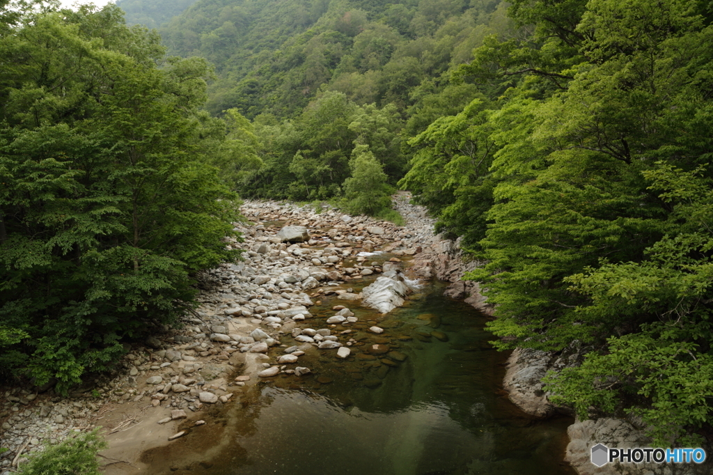 東大鳥川