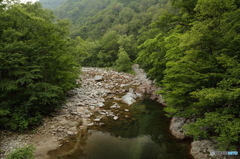 東大鳥川