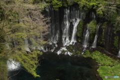 白糸の滝