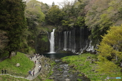 白糸の滝