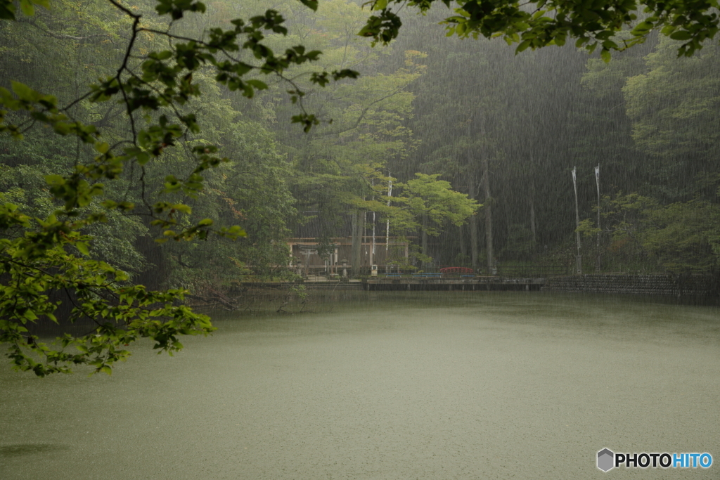 貝喰の池