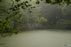 貝喰の池