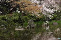 名主の滝公園