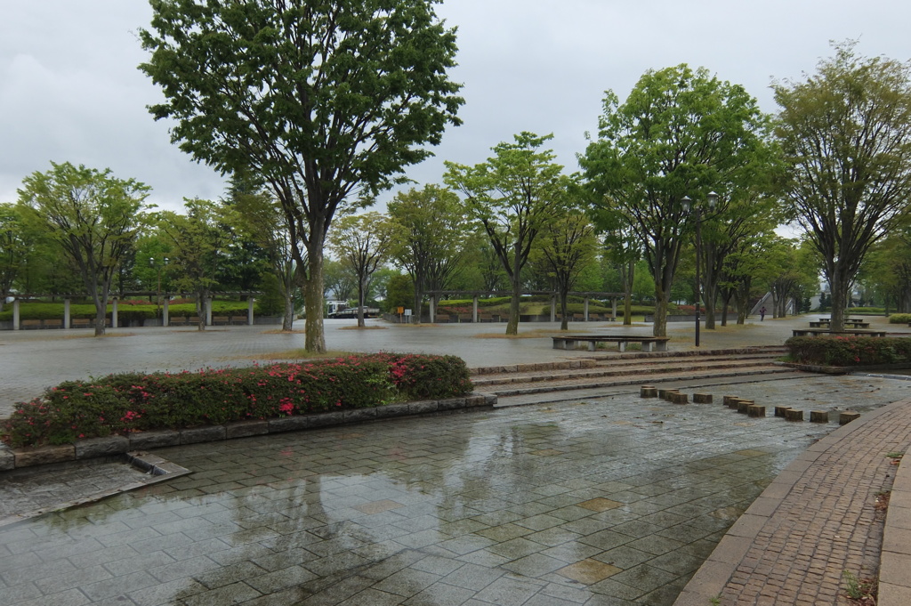 雨の信州スカイパーク