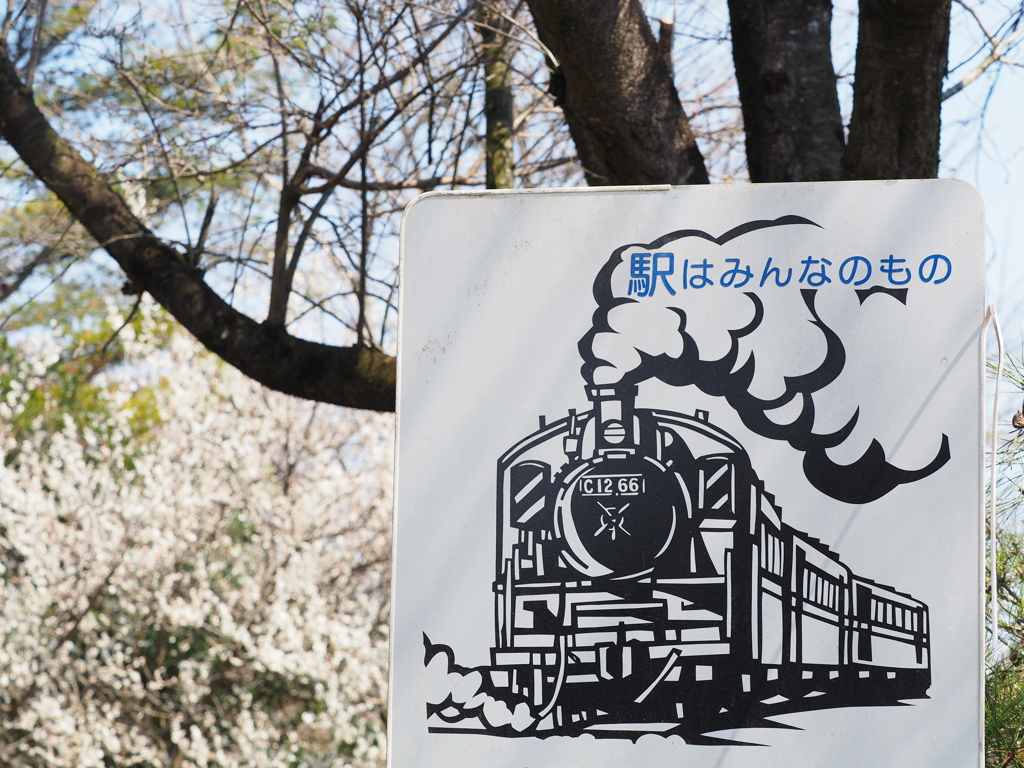 汽車の町の春