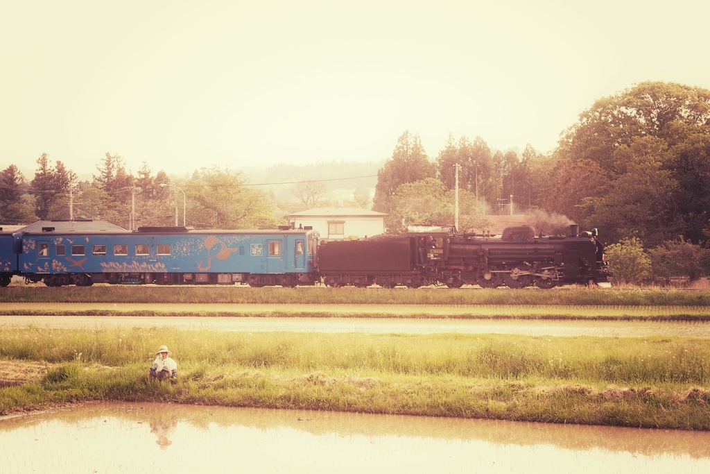 記憶、いつか見た風景を