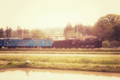 記憶、いつか見た風景を