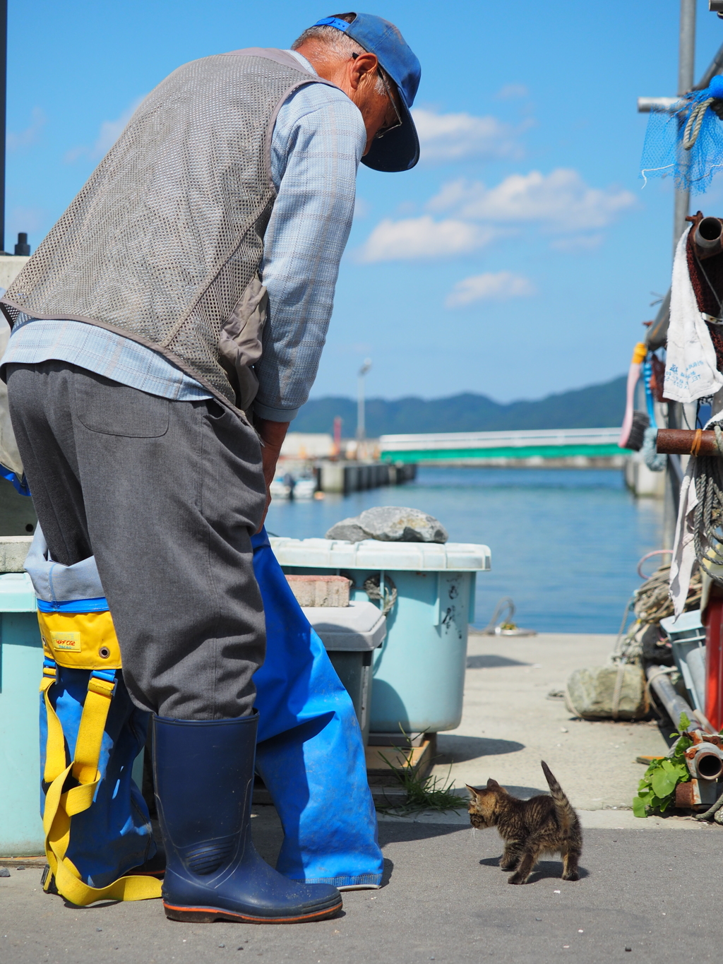 田代島2017 scene.09