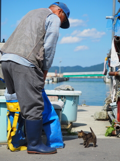 田代島2017 scene.09