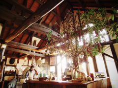 山の喫茶店 decoy