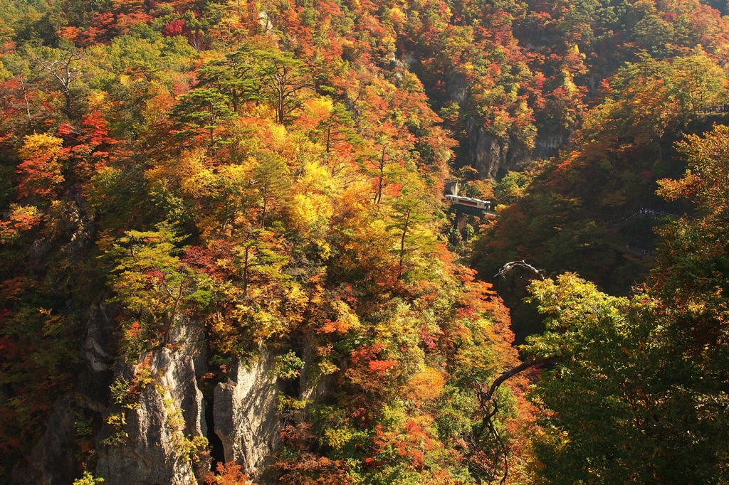 錦秋の鳴子峡