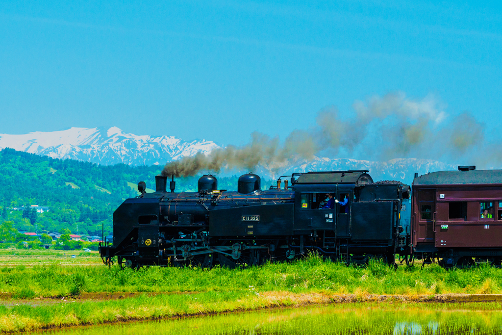 みちのくの春を