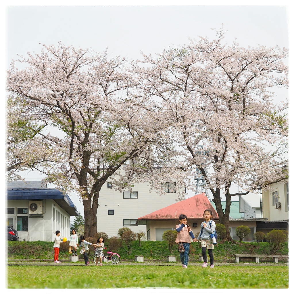 あたたかな日曜日
