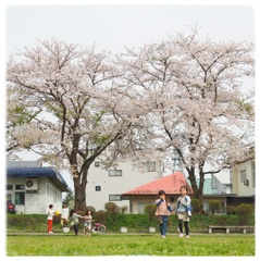 あたたかな日曜日