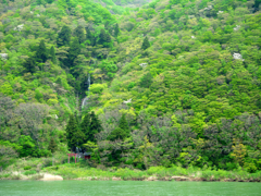 新緑最上川渓谷