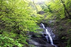 静寂なる白糸の滝