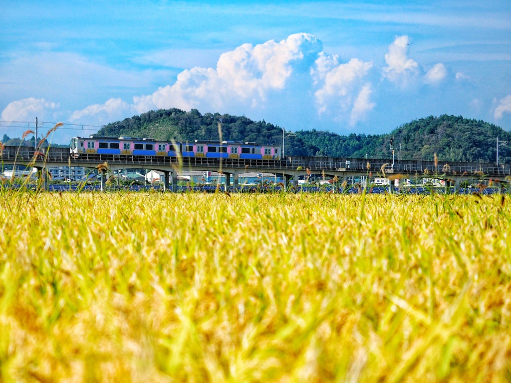 晩夏と初秋の交ざわる季節に