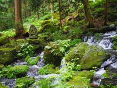 鳥海山麓の水恵