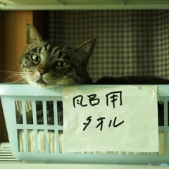 風呂用タオル？