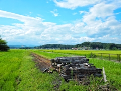 廃線