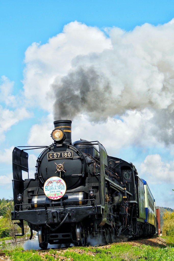 春駆ける貴婦人