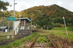 悲しき自然の美しさ