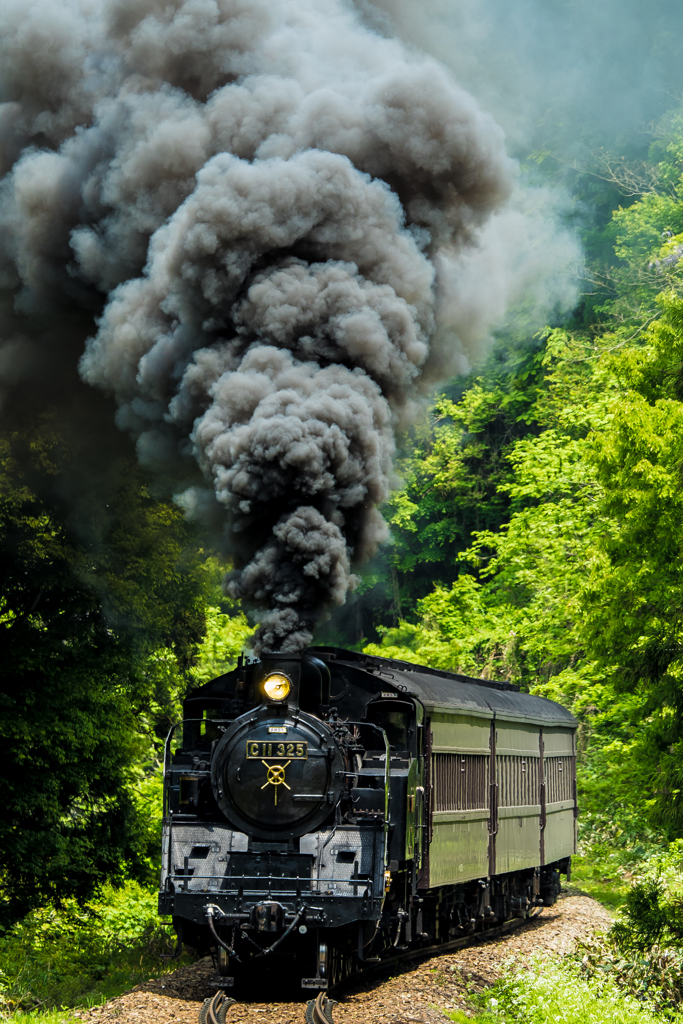 奥会津皐月路編