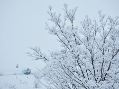 雪路