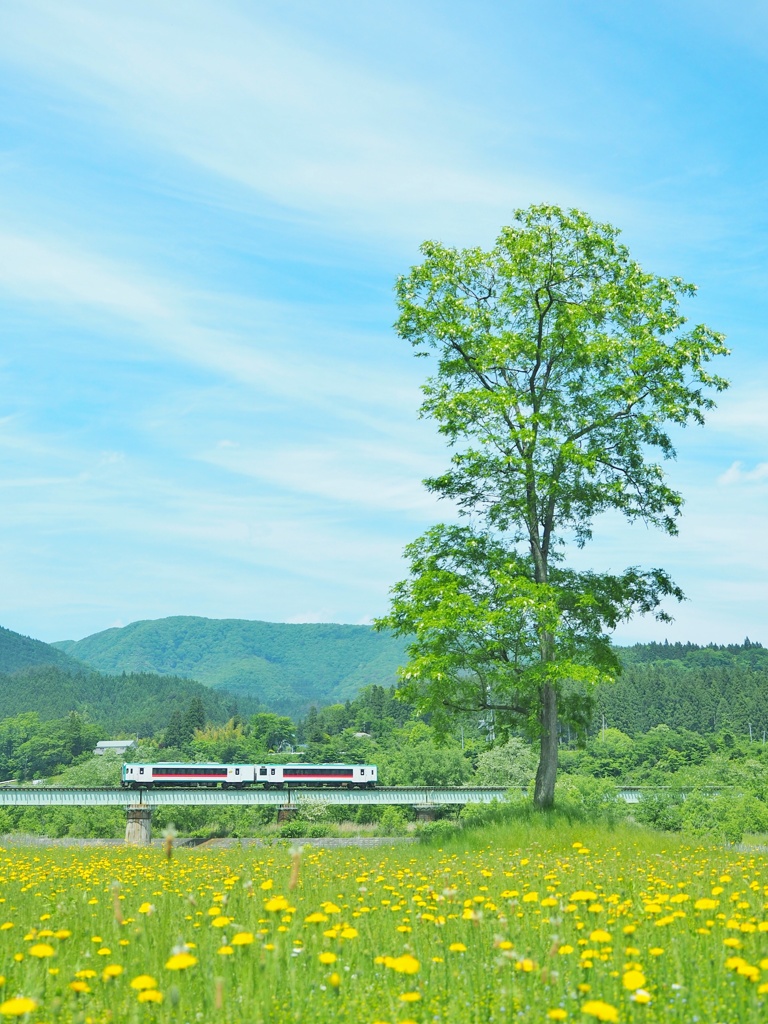 うららかな春に