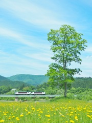 うららかな春に