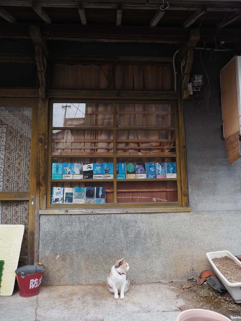 長崎　坂の街の猫