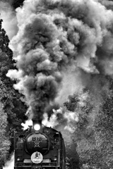 咆哮するが如く