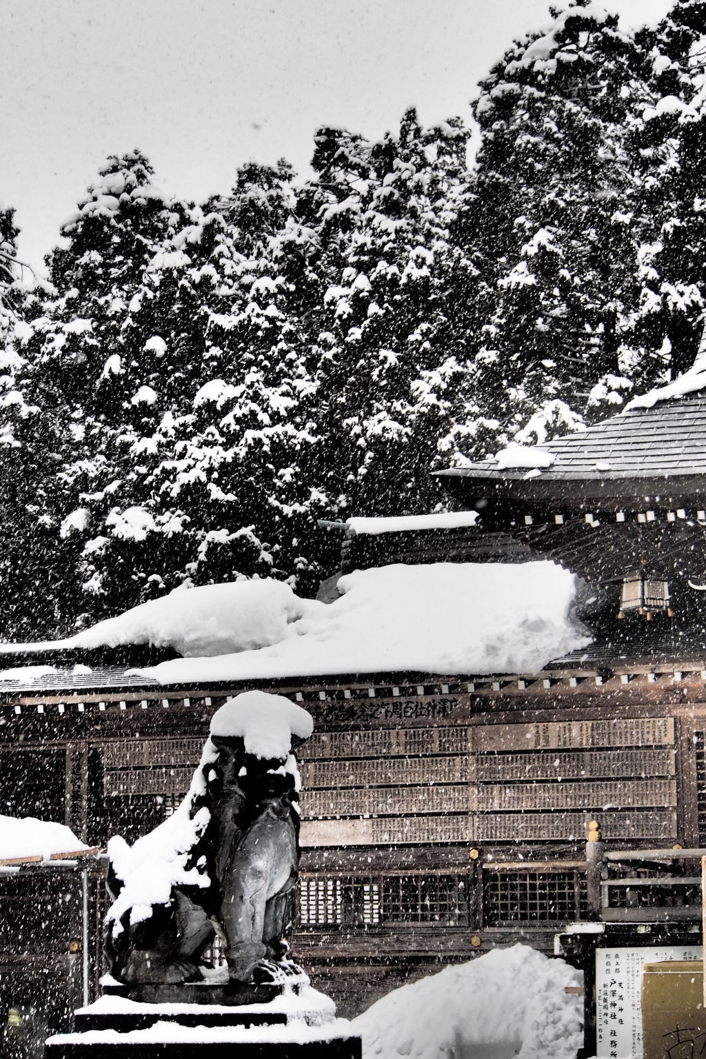 春は遠くにありて