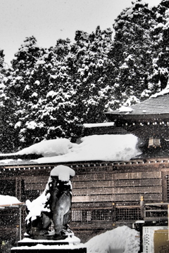 春は遠くにありて