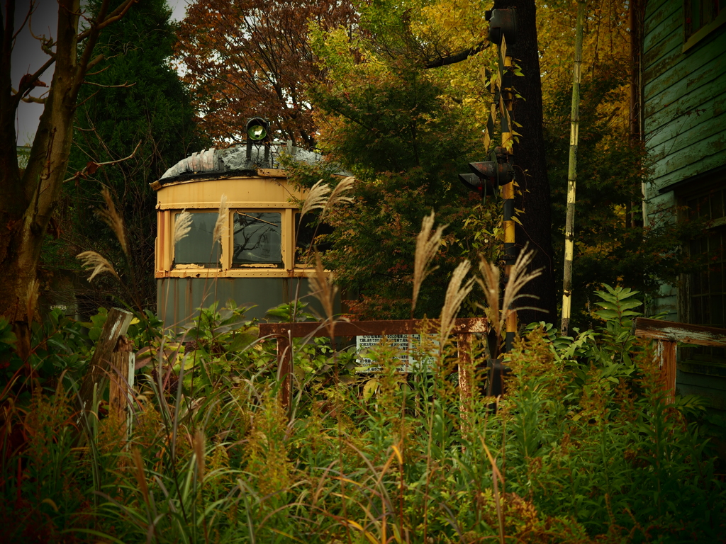 忘れ去られたもの