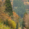 ローカル線