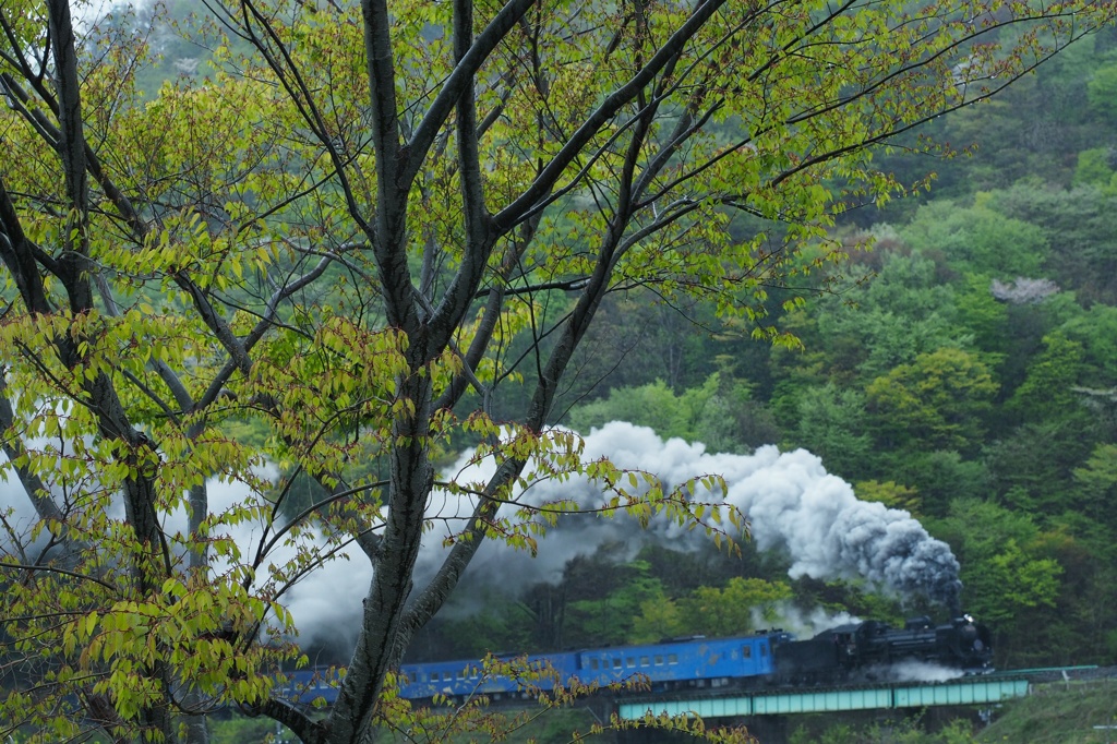 五月雨の峠